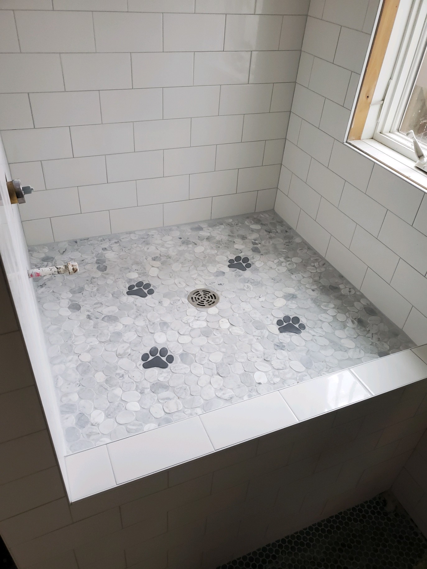 Decorative Paw Tile for Doggie Shower in Deephaven